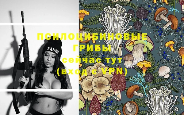 мдпв Киреевск