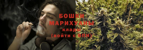 мдпв Киреевск